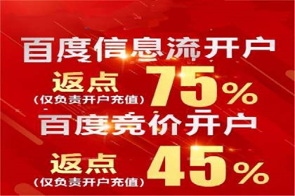 百度竞价代运营公司成功案例揭秘：策略与执行